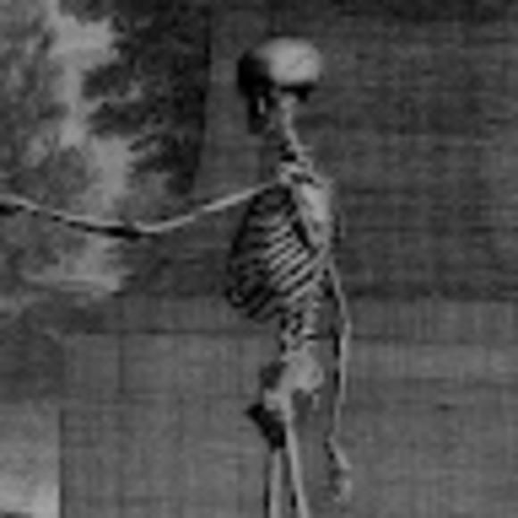 Meet your Posher, Jolly - Picture 1 of 1